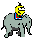 elephant027