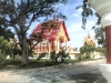 temple-0001.jpg