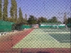 img093.jpg