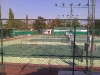 img146.jpg