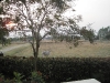 img_4502-large