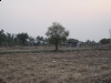 img_4551-large