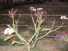 img_4576-large