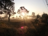 village-life-buriram1