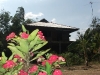 village-life-buriram4