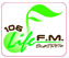 106.5 Green Wave
